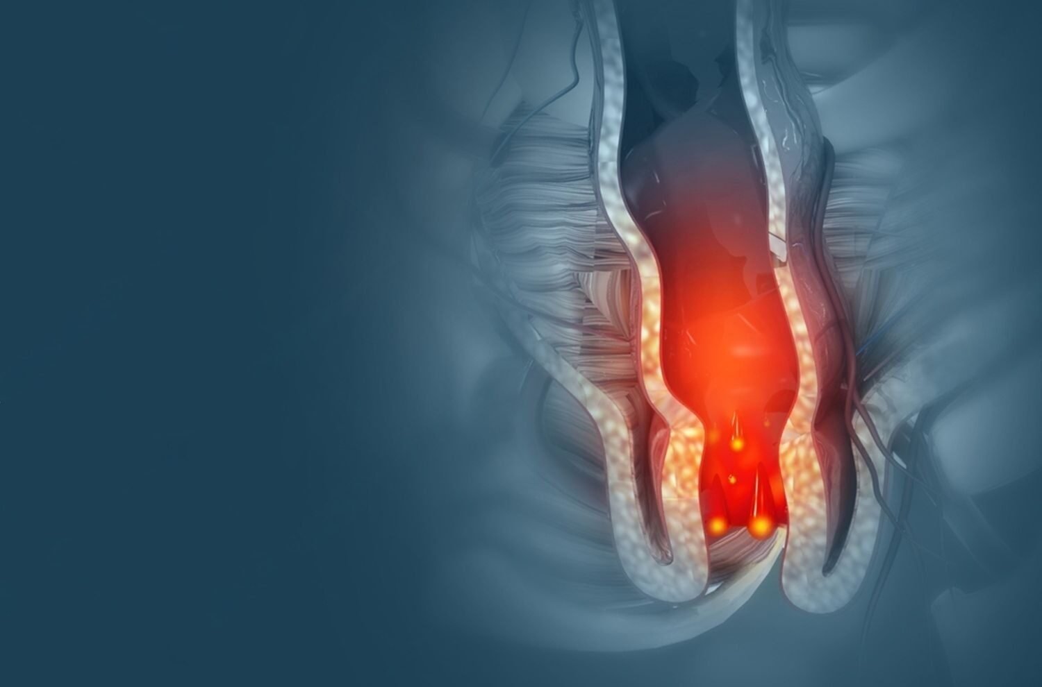 Book Your Appointment Book Your Appointment